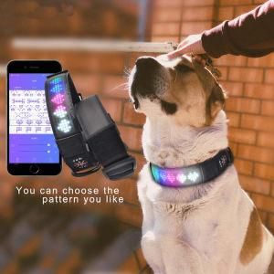 LED Dog Collar with LED Screen