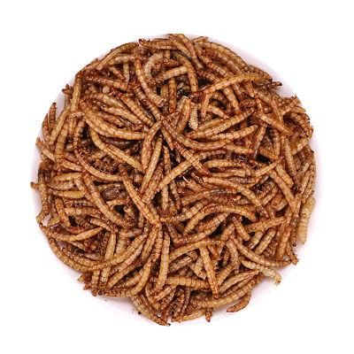 Factory Direct Sale Bird Food Pet Products Mealworms Pet Food