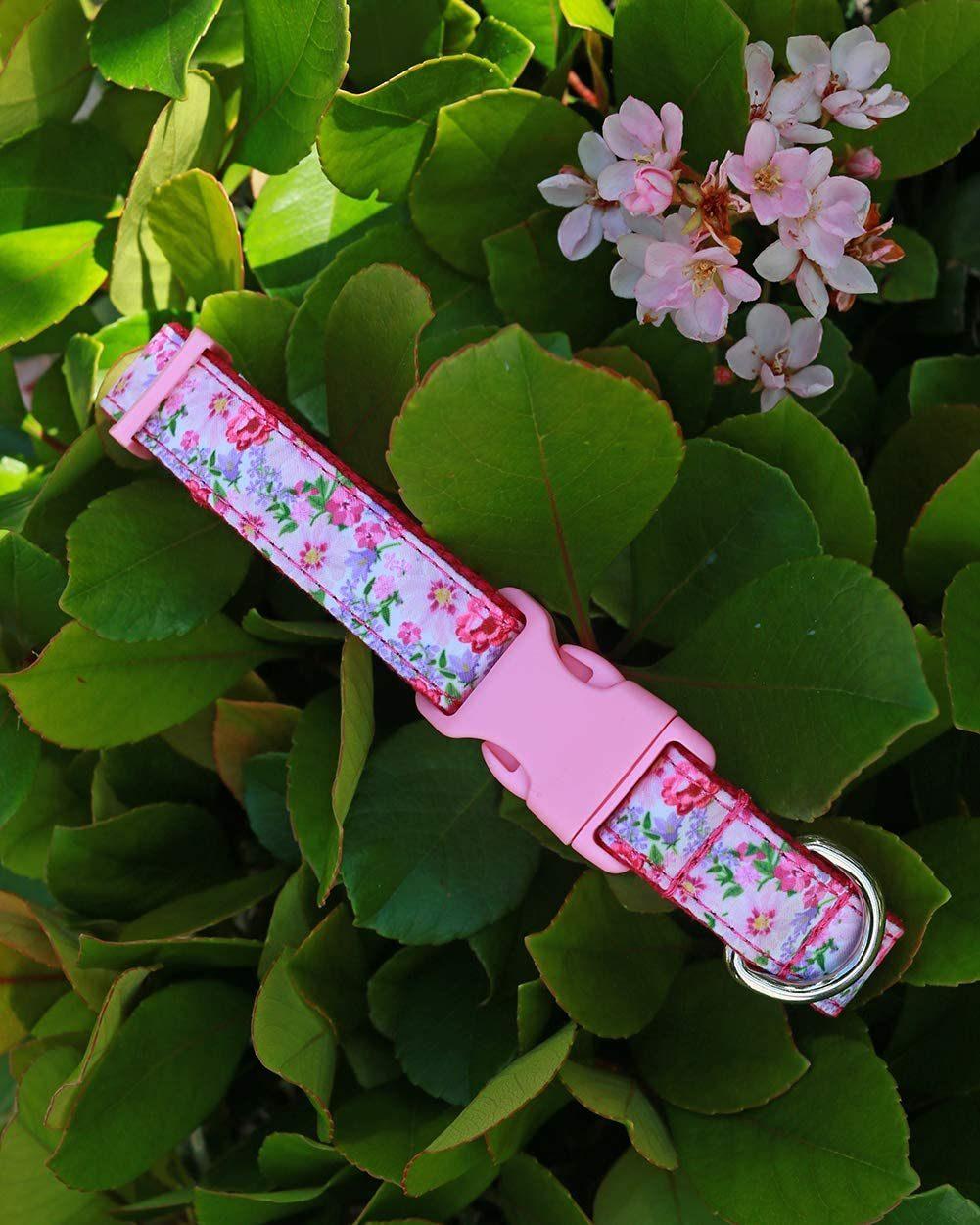 Flower Pattern Pink Dog Collars for Girl Dogs