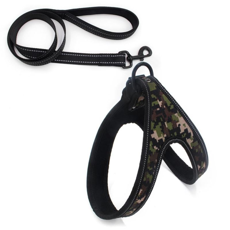 Colorful Rainbow Dog Harness Pet Harness with Matching Pet Leash