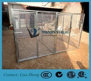 Heavy Duty Steel Dog Kennels, Dog Cage, Dog House