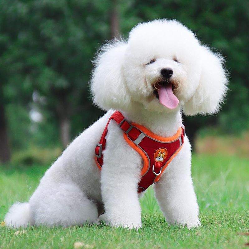 Dog Products, Dog Harness, No-Pull Pet Harness with 2 Leash Clips, Adjustable Soft Padded Dog Vest, Reflective No-Choke with Easy Control Handle for Dog