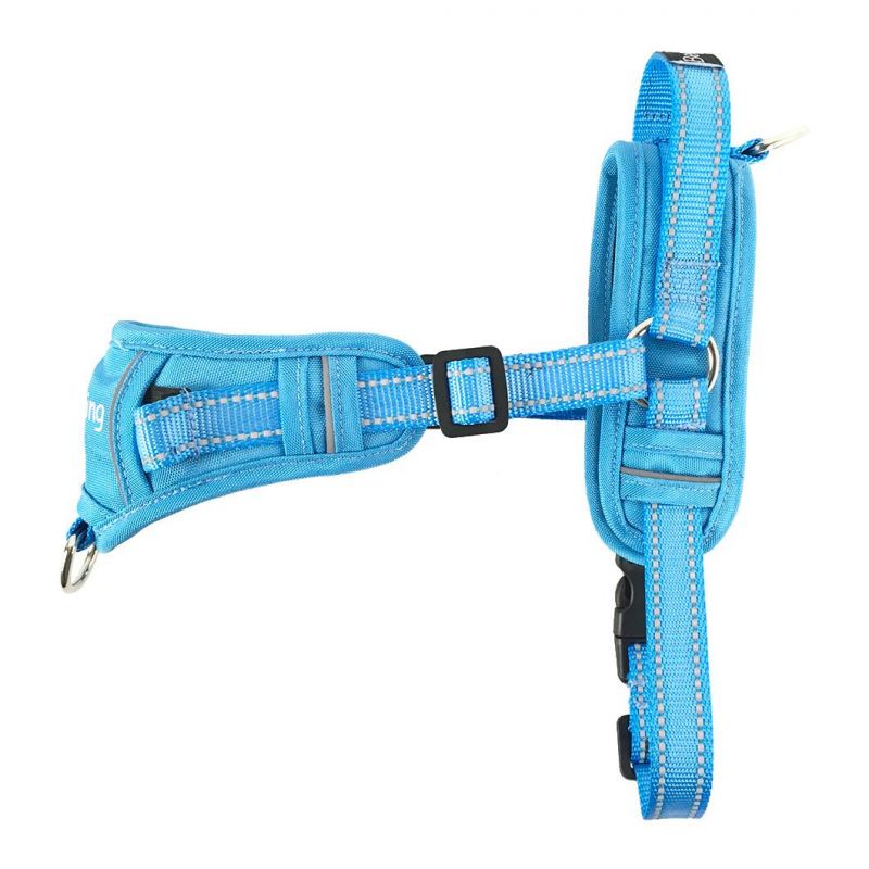 2022 New Arrival Custom Whole Sale Reflective Dog Training Walking No-Pull Harness