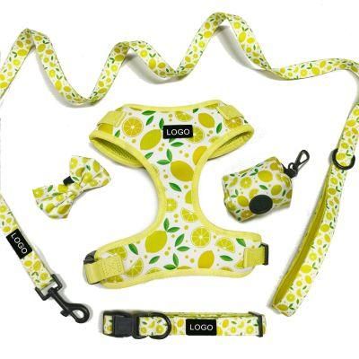 Neck Adjustable Harness for Dogs Comfortable Dog Accessories Custom Dog Harness with Matching Collar and Leash