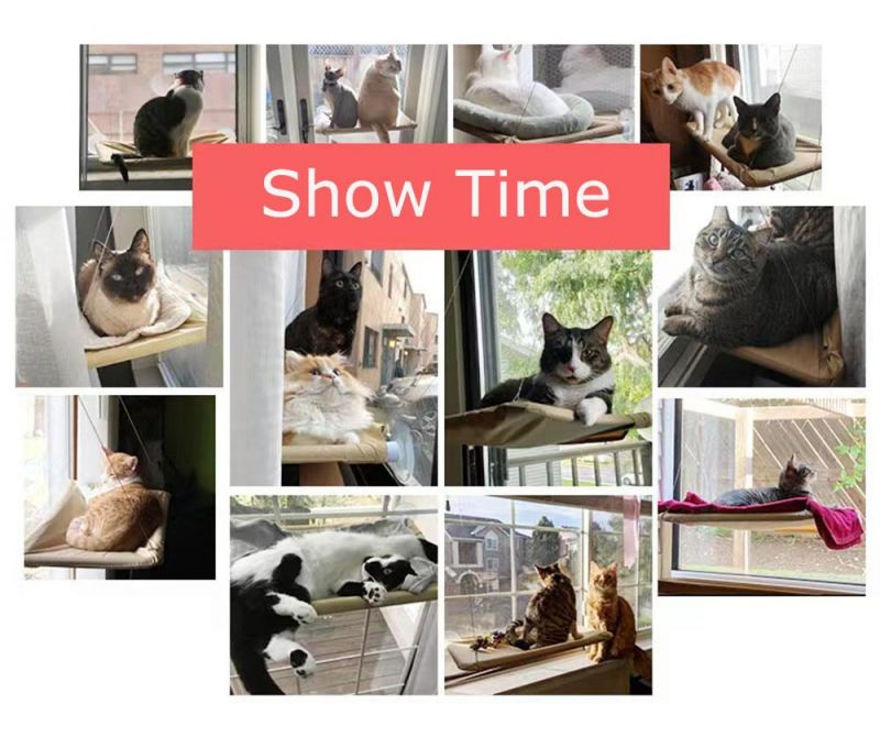 Cat Window Perch Strong Suction Cups Safety Cat Hammock