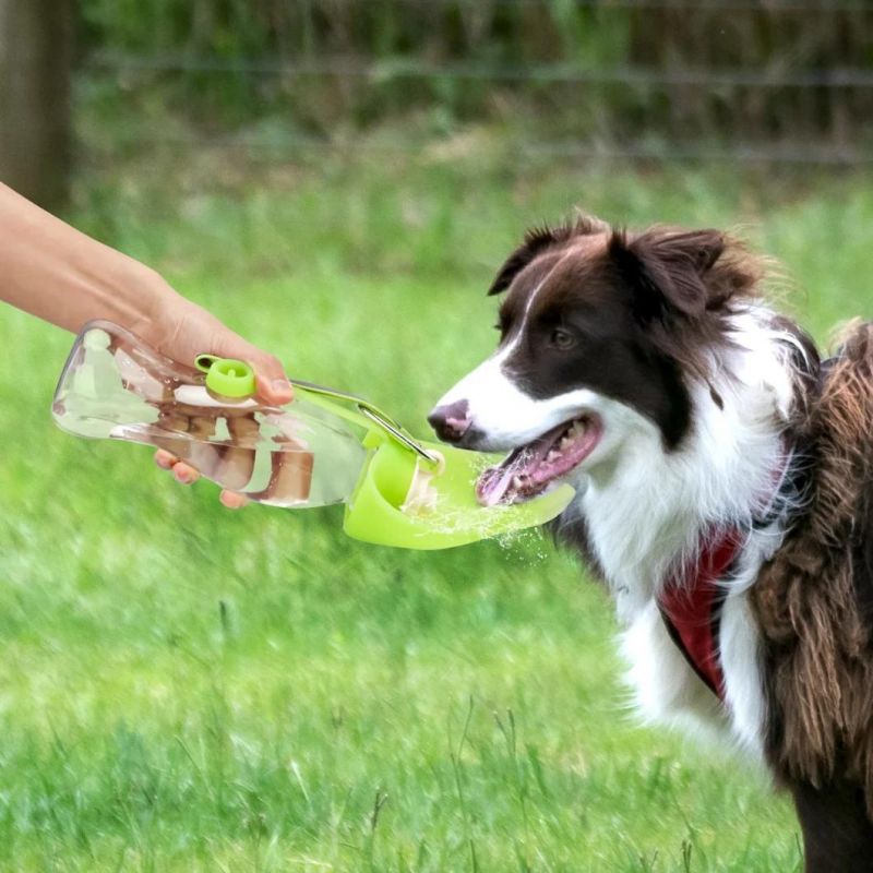 Portable Pet Water Dispenser Feeder Leak Proof with Drinking Cup