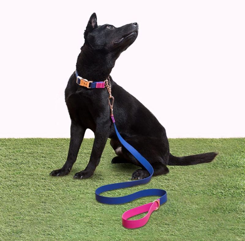 Durable Heavy Duty Pet Leashes for Training Running for Small Medium Large Dogs