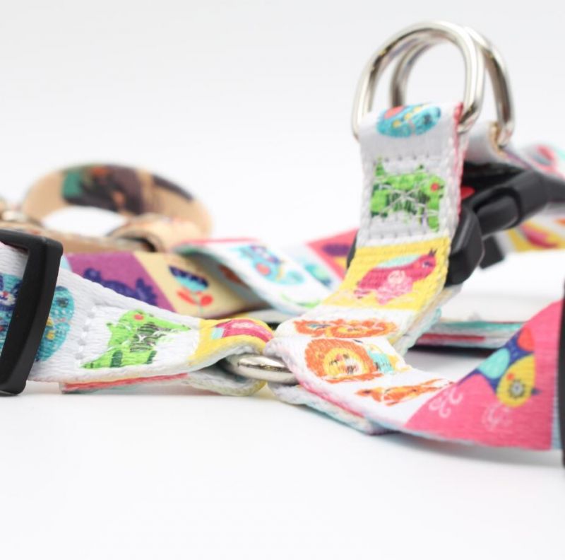 RPET Custom Logo Dog Leash and Collar Set Sublimation Pet Running Leash