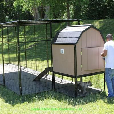 China Factory Customized Tpped Dog Kennel and Run