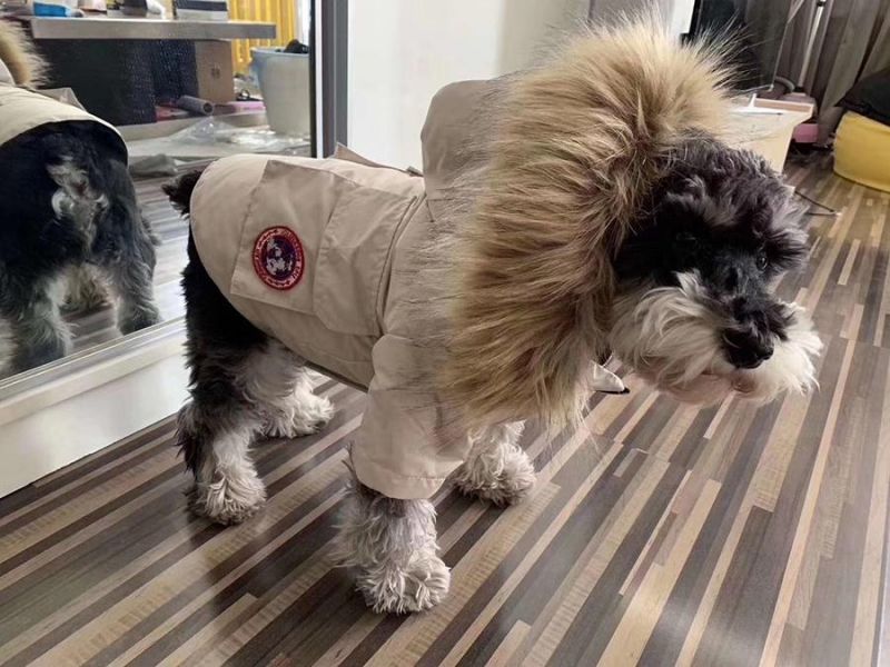 Pet Clothes Winter Parka Dog Down Jacket Teddy Coat Schnauzer with Fluffy and Thick Winter Warm Pet Coat From China Supplies