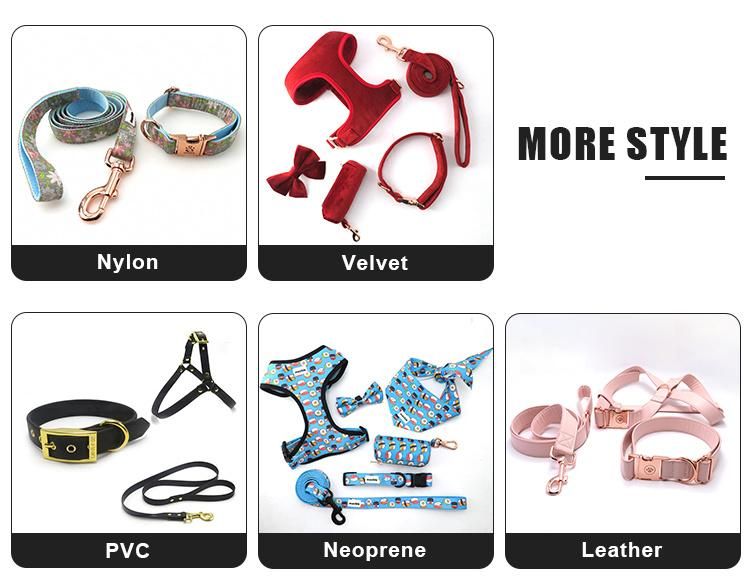 All Kinds of Design Full Sets Dog/Pet Accessories/Metal Buckle/Factory Price Metal Buckle