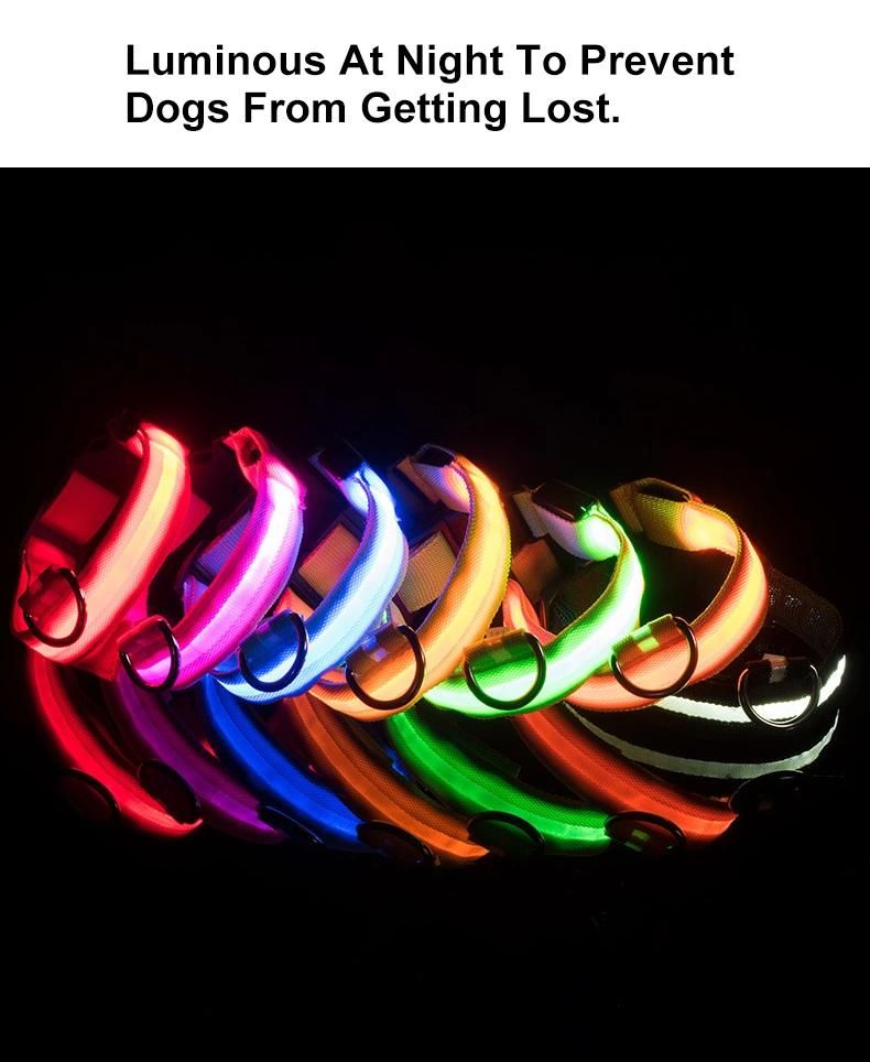 USB Rechargeable Available in 6 Colors 6 Sizes LED Dog Collar Makes Your Dog Visible Safe//