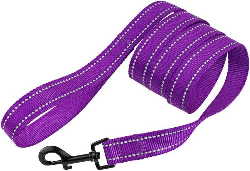 5 Feet Nylon Dog Leash for Daily Outdoor Walking Running Training