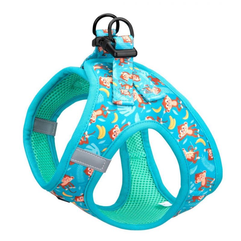 Custom Design Adjustable Set in Dog Collar Leash Bandana Dog Harness