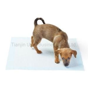 Disposable Pet PEE Pad for Dogs and Puppy