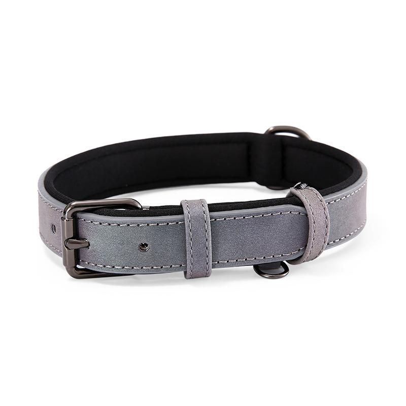 Reflective Collar and Leash for Pet Dog