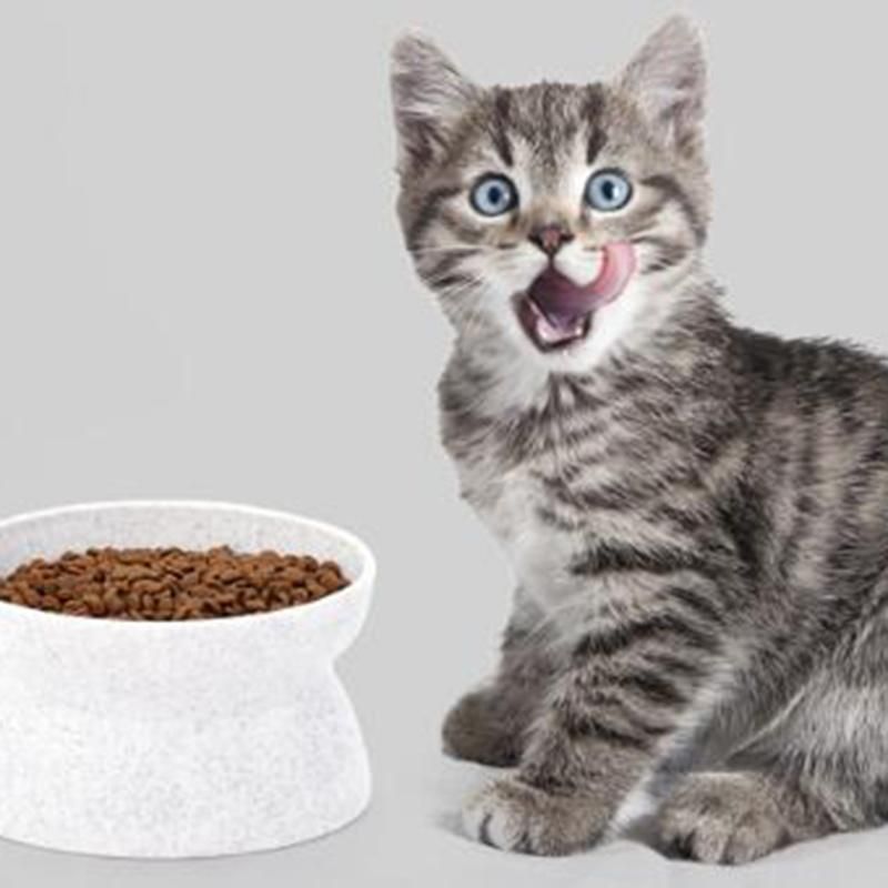 Cat Food Utensils Creative Cat Bowl Anti-Overturn Positive and Negative Cat Food Utensils