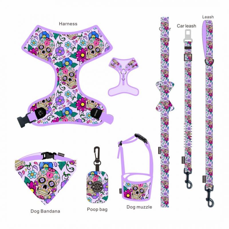 Manufacturer Custom Leash and Collar Set Adjustable Neoprene Dog Harness Bowtie Dog Collar and Leash Set