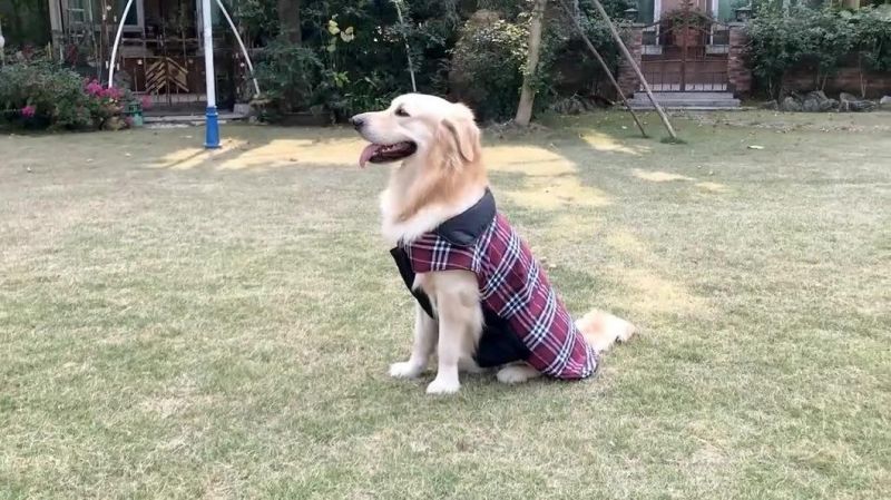 Dog Clothes Winter Keep Warm Vest with Plaid Pattern