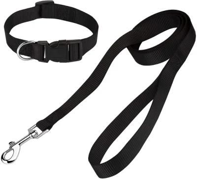 Basic Dog Collar and Leash Set with Fast Delivery