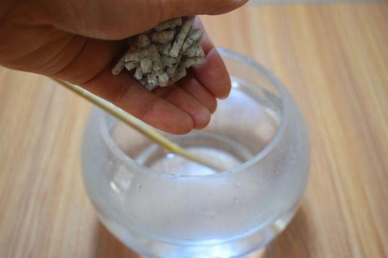 Tofu Cat Litter - Active Carbon, No Moldy