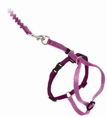 Comfortable Control Cat Leash