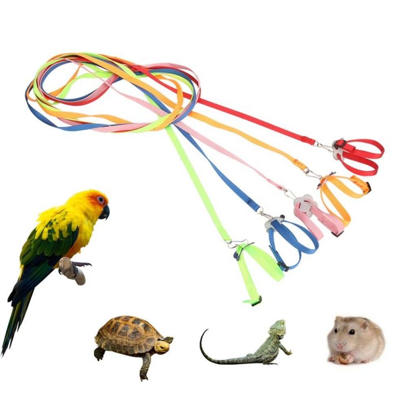 Adjustable Pet Leash Turtle Hamster, Lizard, Rabbit Outdoor Training Soft Belt Anti-Bite Leash