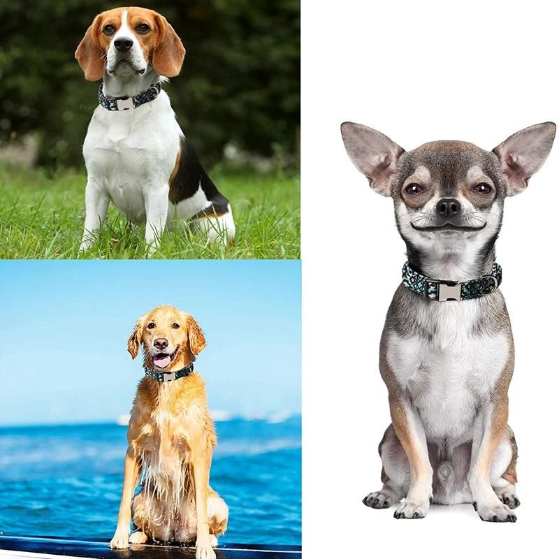 Pet Supplies Custom Polyester Heat Transfer Printing Luxury Pet Dog Collar with Metal Buckle