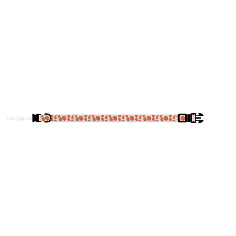 New Summer Fruit Series Pet Collar, Orange Collar