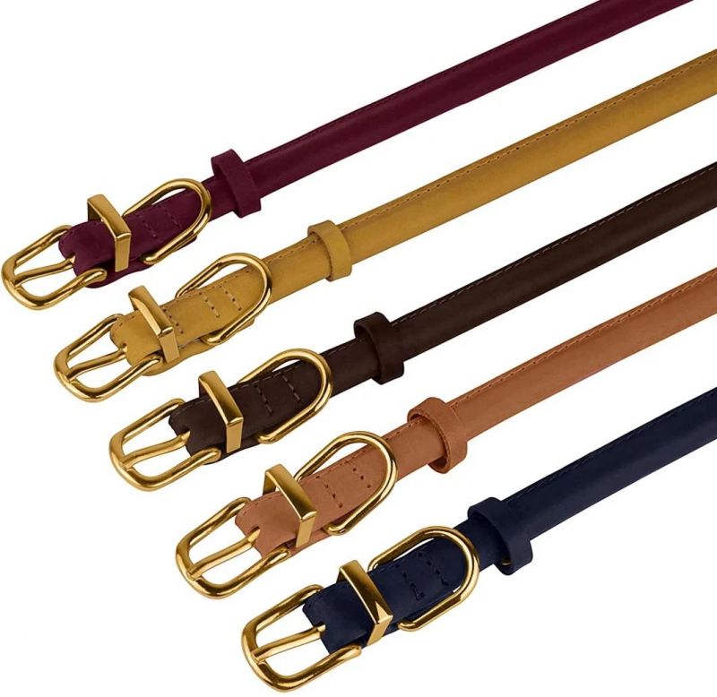 Rolled Collars Suitable for Long Haired Dog Breeds