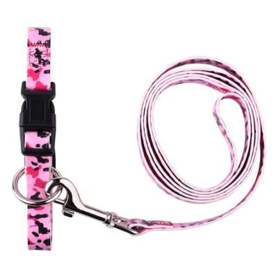 Hot Sell Pet Products Factory Price Pet Leashes and Collars Welcome Customized Design