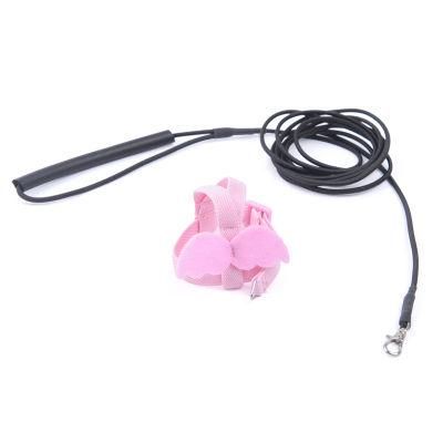 Pet Parrot Flying Rope Peony Parrot Xuanfeng Parrot