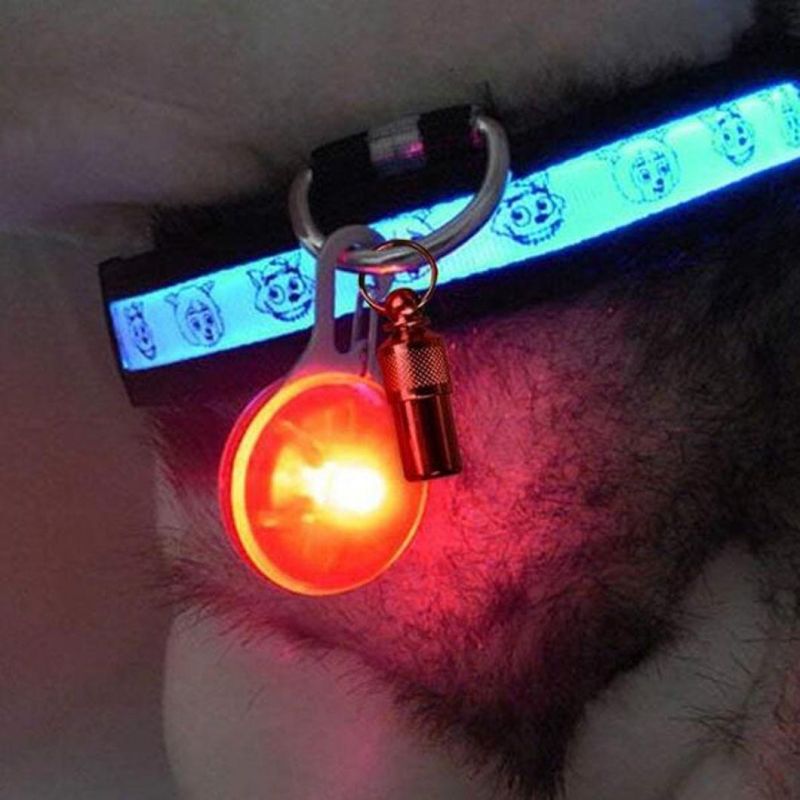 Dog Cat Pet Collar Light Waterproof LED Dog Collar Safety Night Walking Lights Keychain with Stainless Steel Carabiner