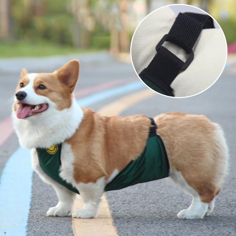 Pet Bellyband to Prevent Wet Autumn and Winter