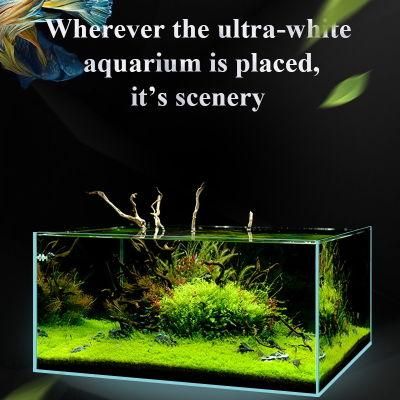 Yee Wholesale Aquatic Plants Tank with Pump LED Light Small Fish Tank