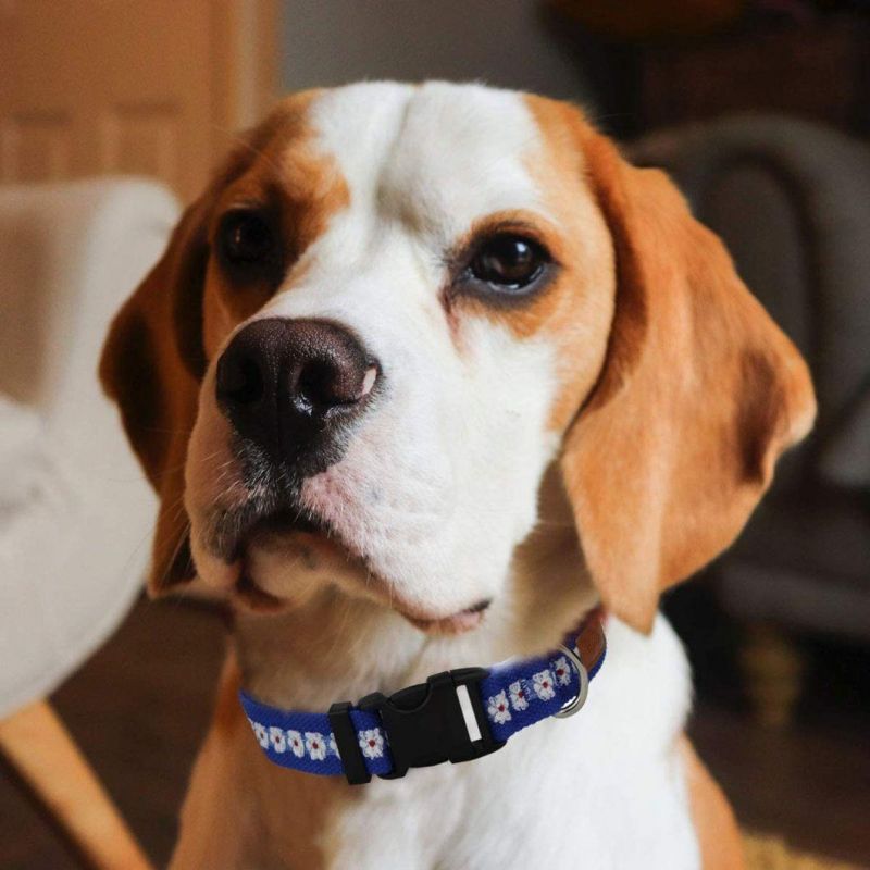 Floral Dog Collar Adjustable Flower Pattern Basic Dog Collar