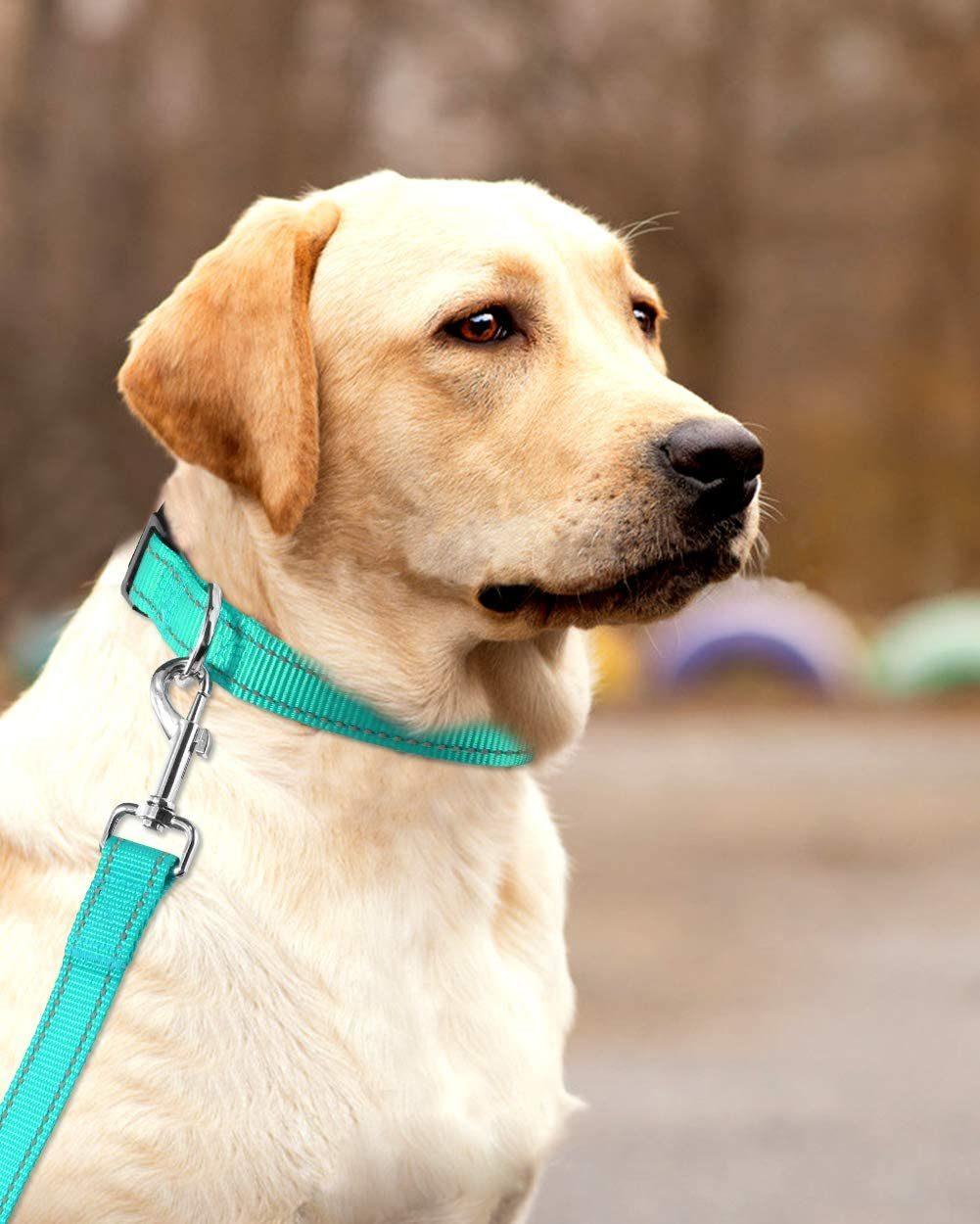 Classic Solid Colors Quick Release Dog Collar