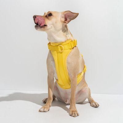 Customized Wholesale Popular Comfortable Breathable Soft Neoprene Dog Harness with PVC Collar and Lead