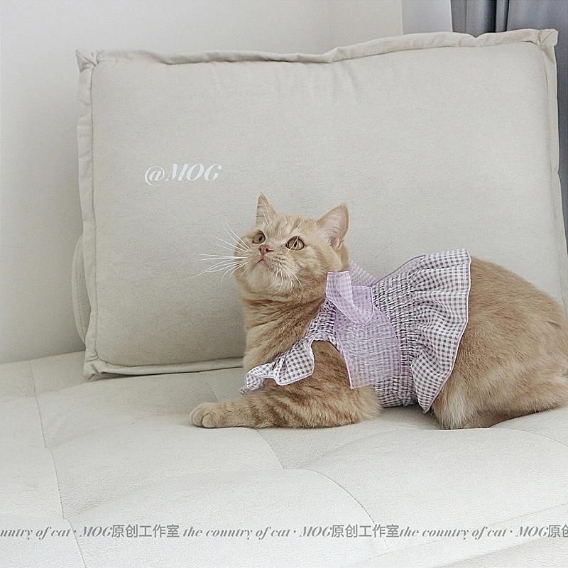 Luxury Pet Dog Cat Skirt Sequined Embroidered Lace Dress Clothes Evening Dress Wedding Dog Cat Clothes