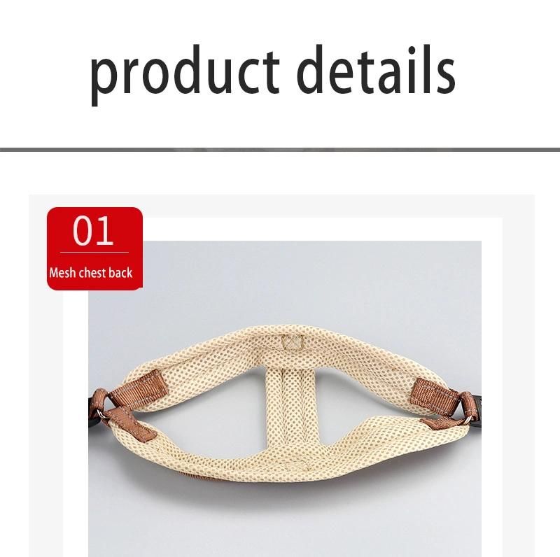 OEM Small Order All Kinds of Full Sets Dog Harness/Pet Leash
