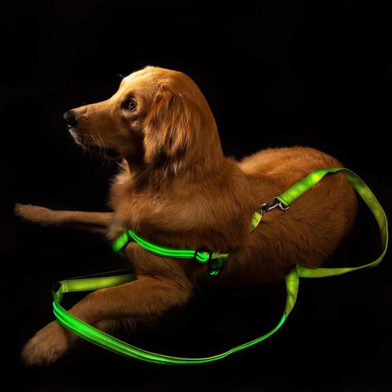 Noxgear Light up Dog Harness Super Bright and USB Rechargeable Battery Plus Great for Small Medium Large Dogs