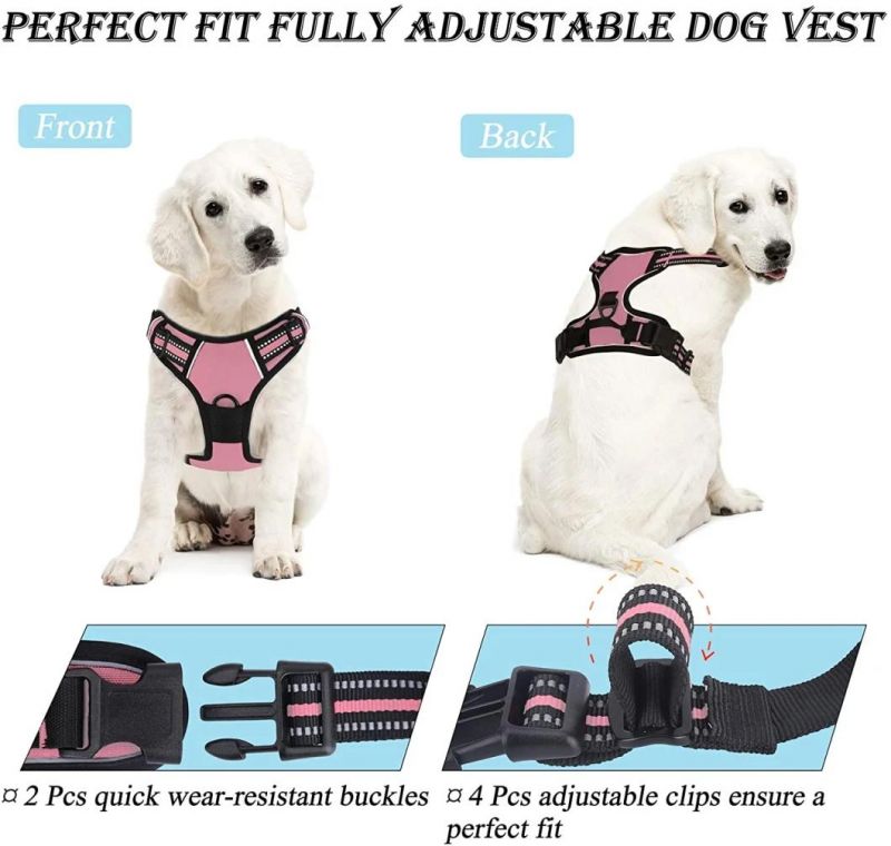 Adjuatable & Easy to Use Nylon Pet Harness