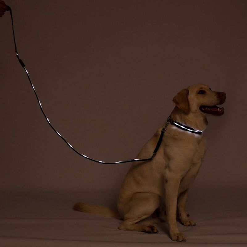 4FT & 6 FT Water Resistant Lighting LED Dog Leash