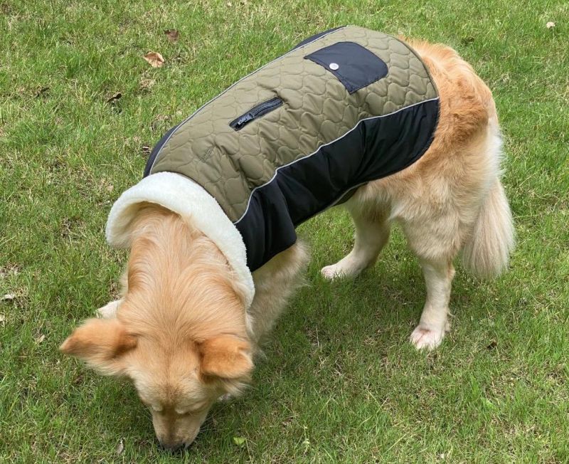 Winter Waterproof Pet Clothes Latest Design Dog Vest Double-Sided Wear Coldproof Dog Clothes