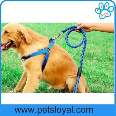 Amazon Standard Pet Product Supply Nylon Pet Leash Dog Harness