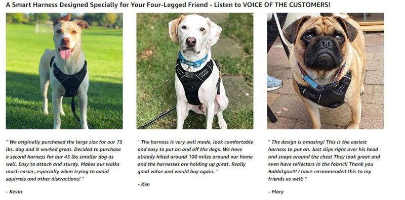 Easy Control for Small Medium Large Dogs Vest