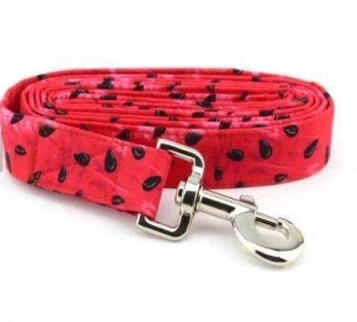 Eco-Friendly Cotton Fabric Dog Leash with Custom Logo for Dogs