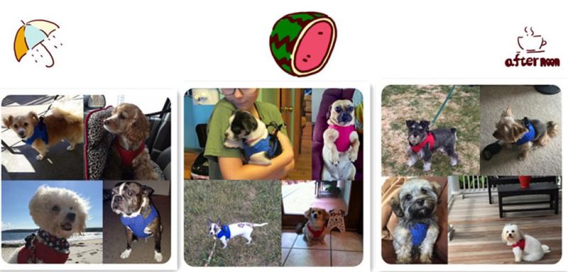 Cartoon Doggie Design Adorable Pet Harness, Unique Pet Supplies