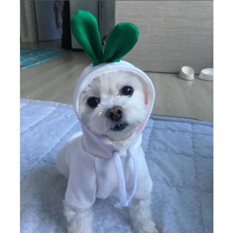 New Hot Sale Custom Cute Fruit Warm Fleece Ropa PARA Perros Vestidos Pet Cats Dress Dog Clothes