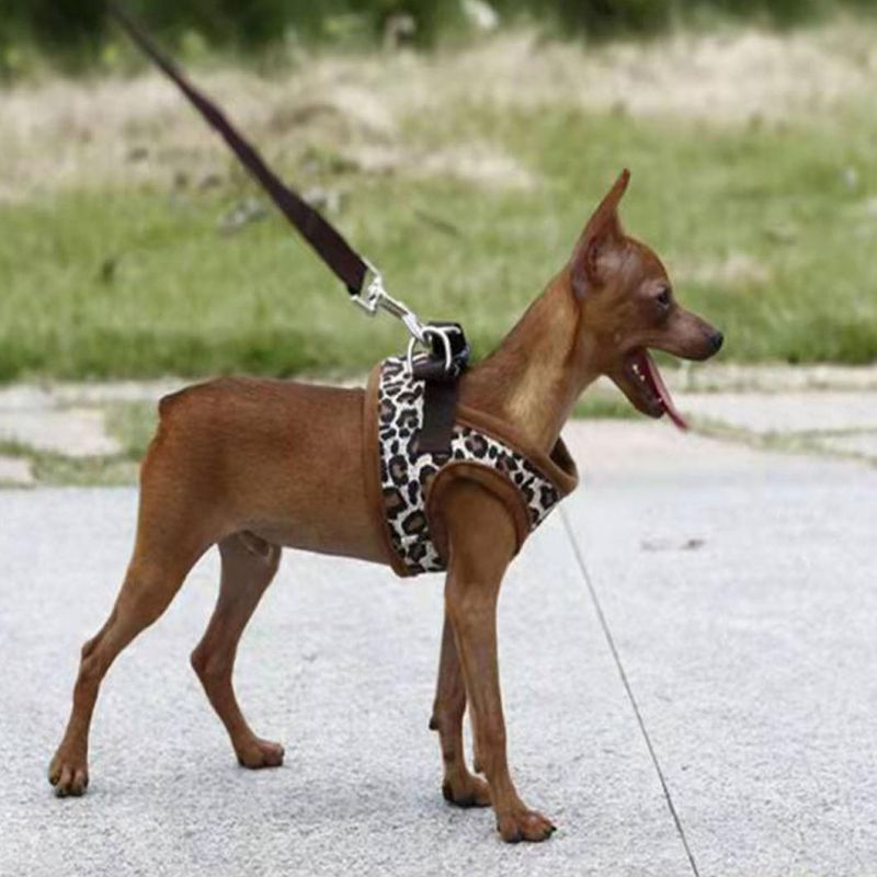 Pure Color Breathable Mesh Cloth Dog Harness Summer Cool Pet Harness
